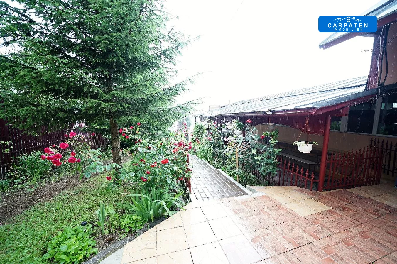 Ansicht Terrasse & Garten