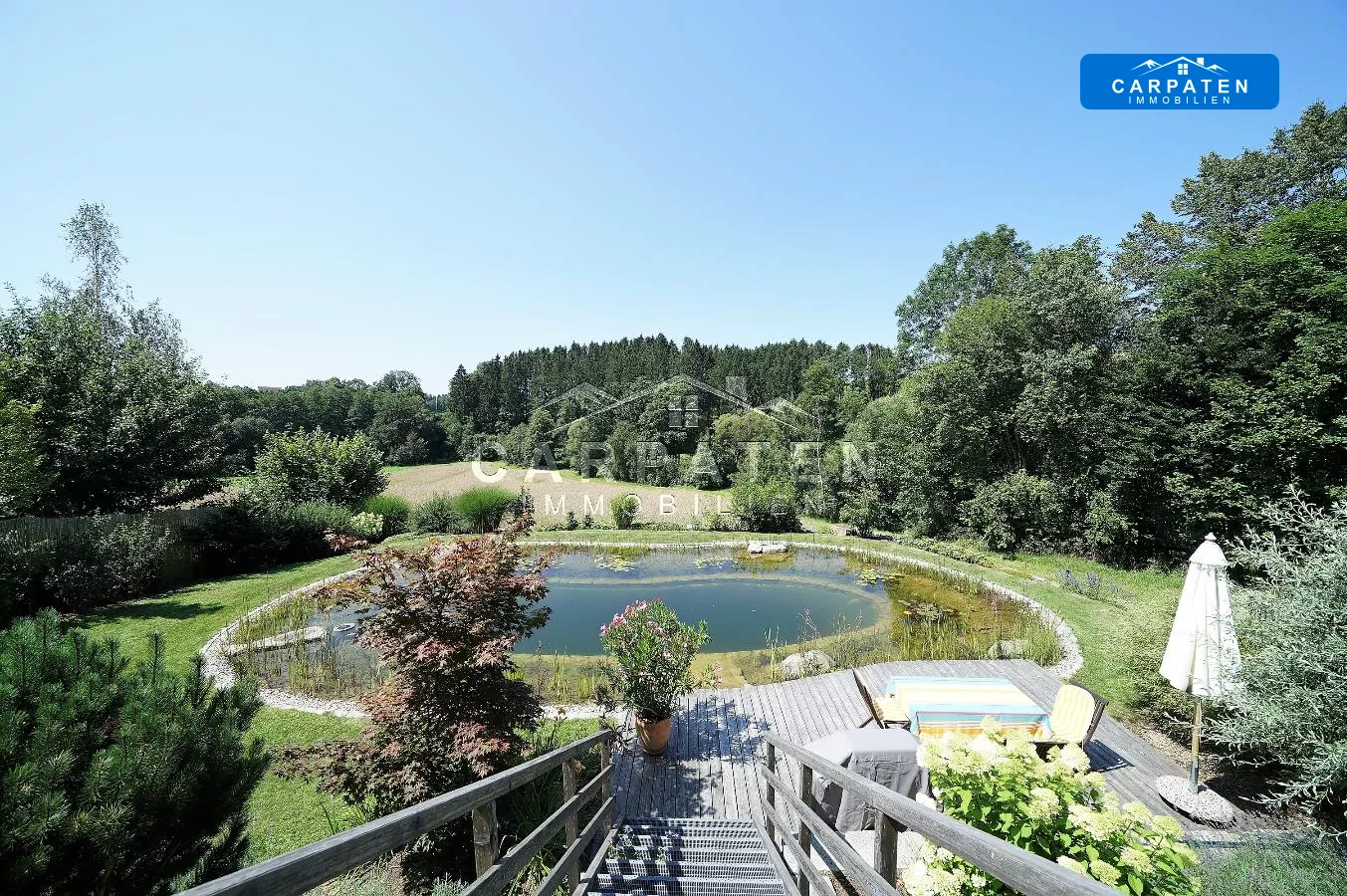 Ansicht Schwimmteich