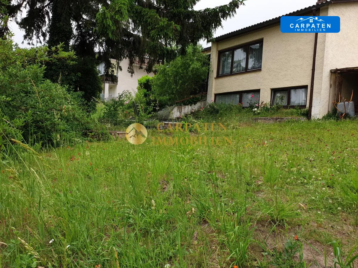 Ansicht Garten mit Altbestand