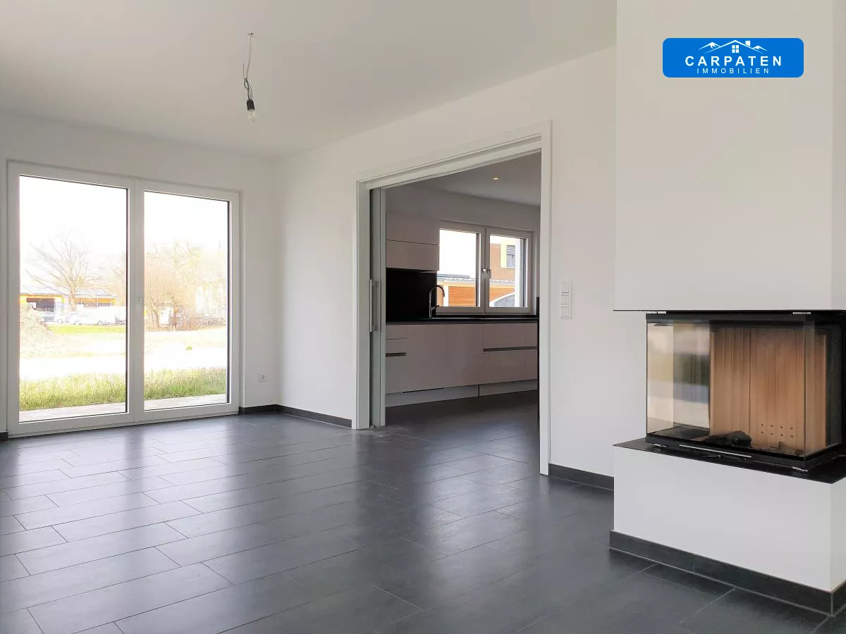 Ansicht Kamin und Eingang Küch